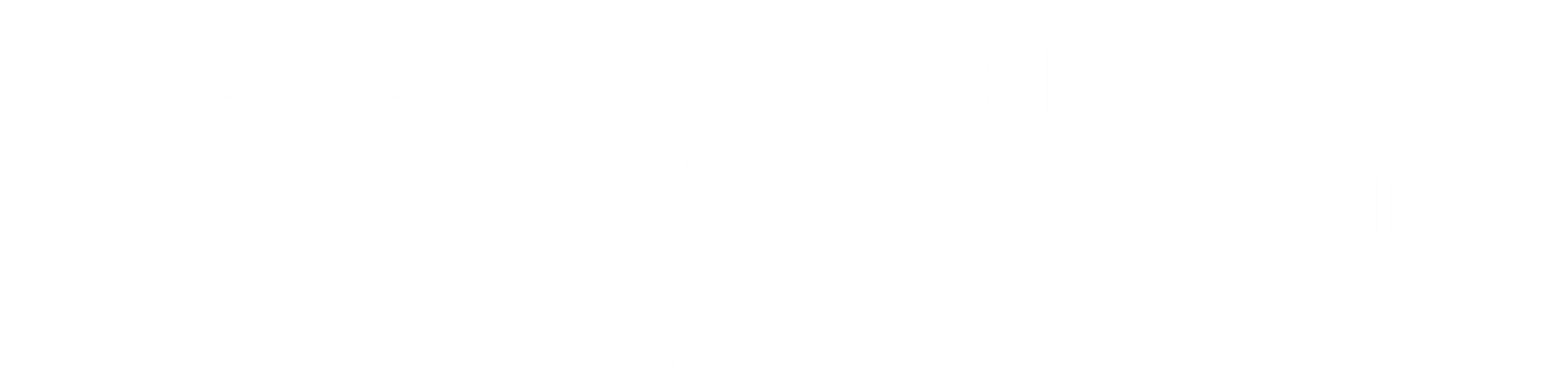 Logo Footer